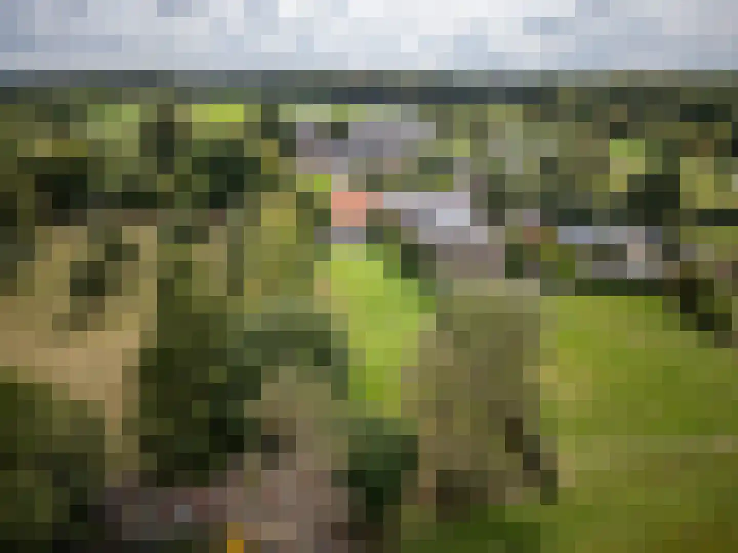 Julianastraat 50 Epen thumbnail 37