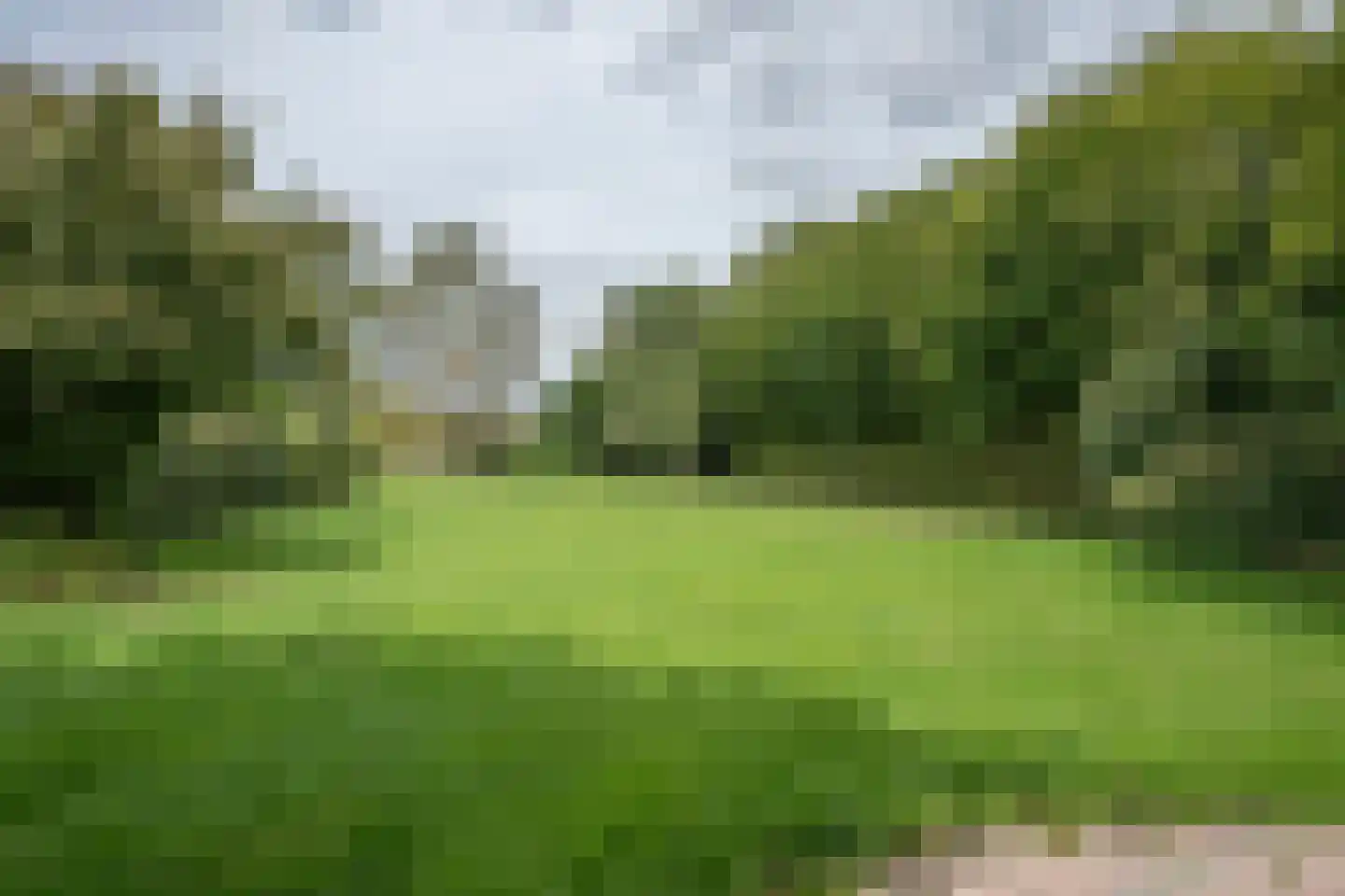 Julianastraat 50 Epen thumbnail 4