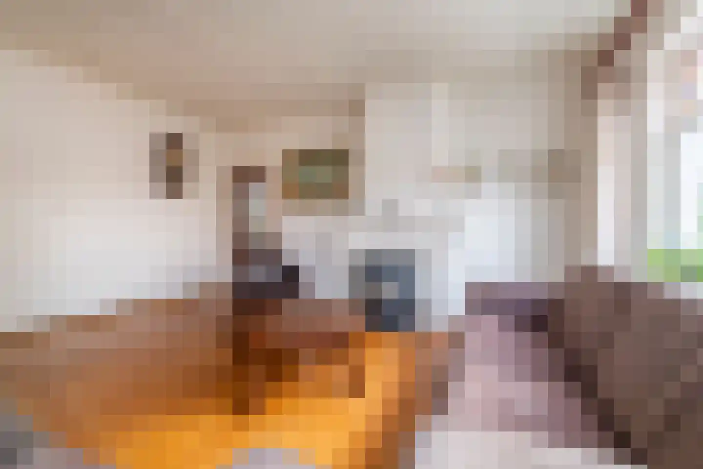 Julianastraat 50 Veenendaal thumbnail 12