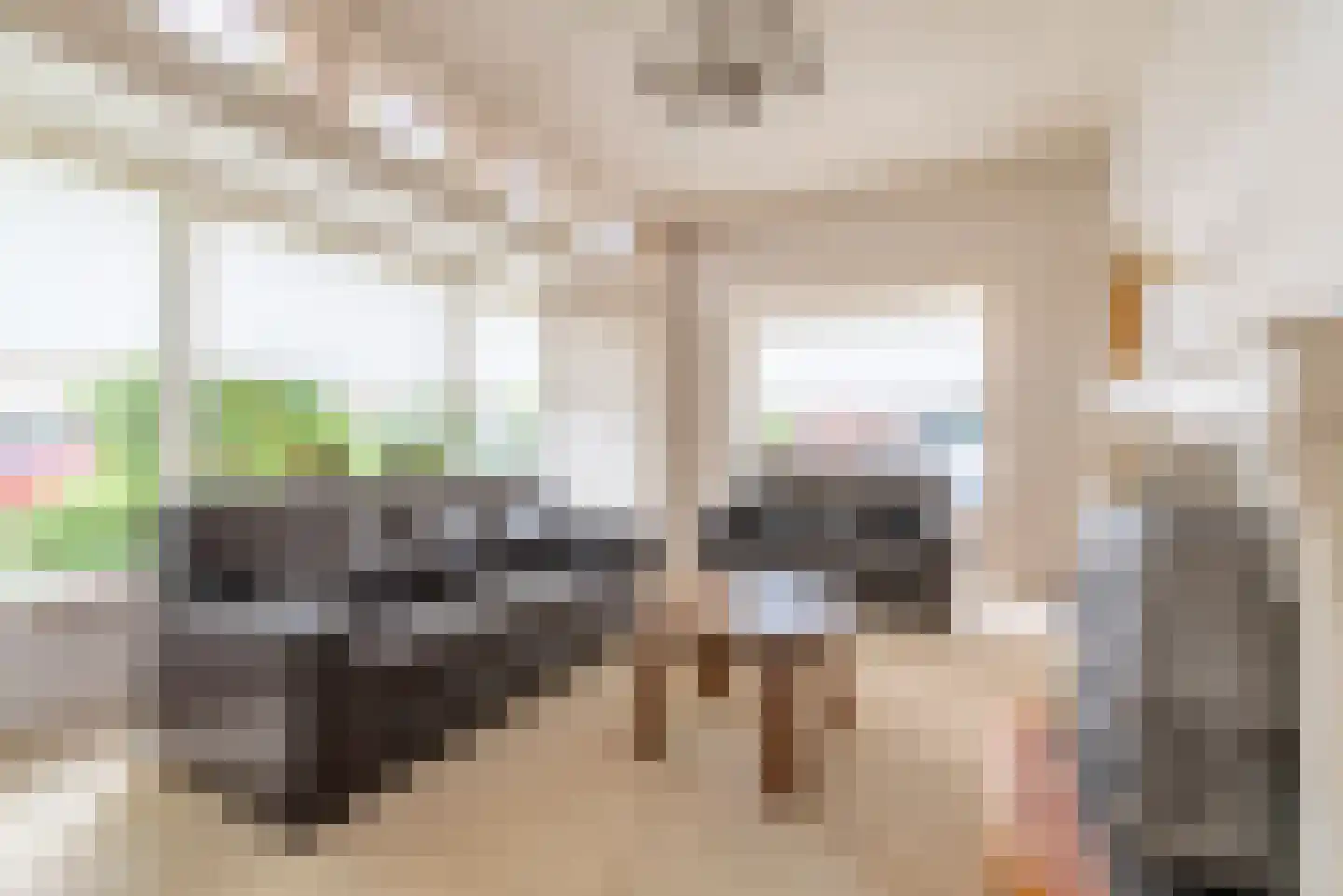 Julianastraat 50 Veenendaal thumbnail 5