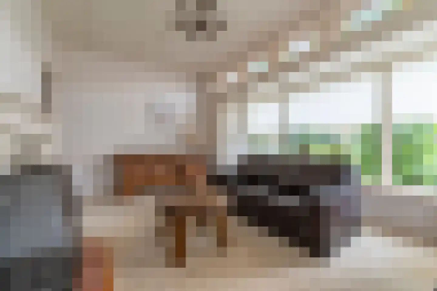 Julianastraat 50 Veenendaal thumbnail 8