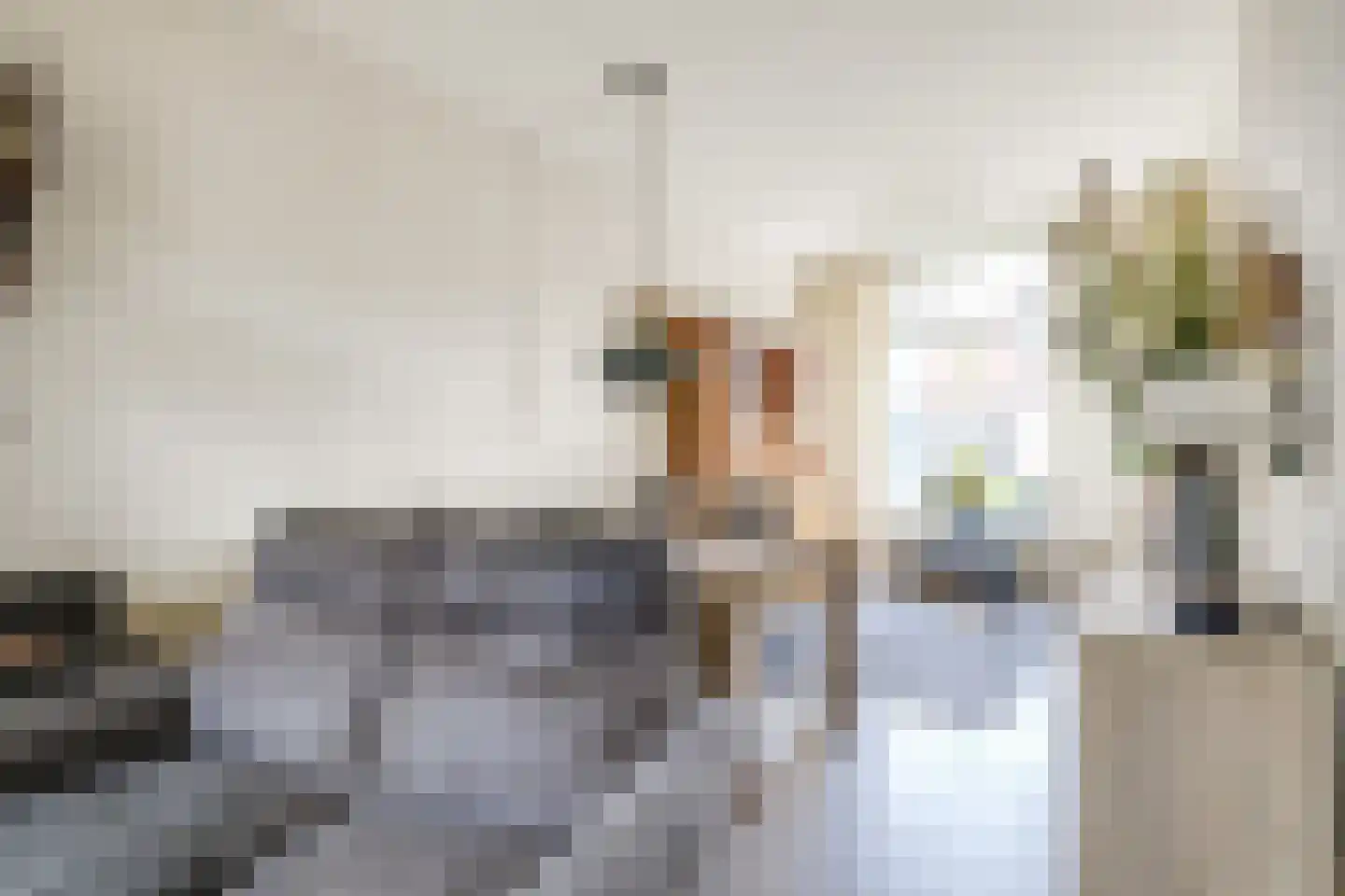 Julianastraat 51 Leiden thumbnail 10