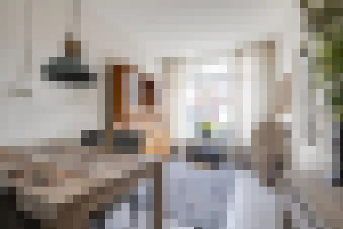 Julianastraat 51 Leiden thumbnail 11