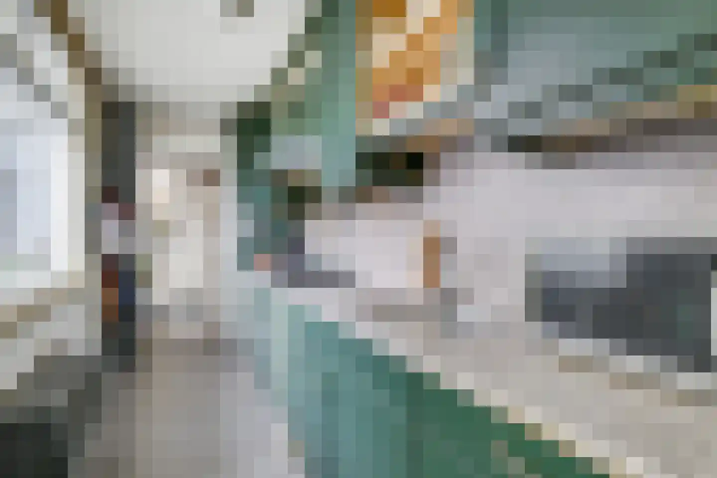 Julianastraat 51 Leiden thumbnail 13