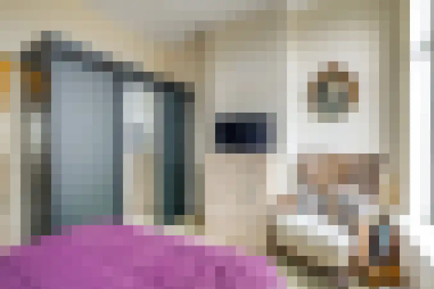 Julianastraat 51 Leiden thumbnail 25