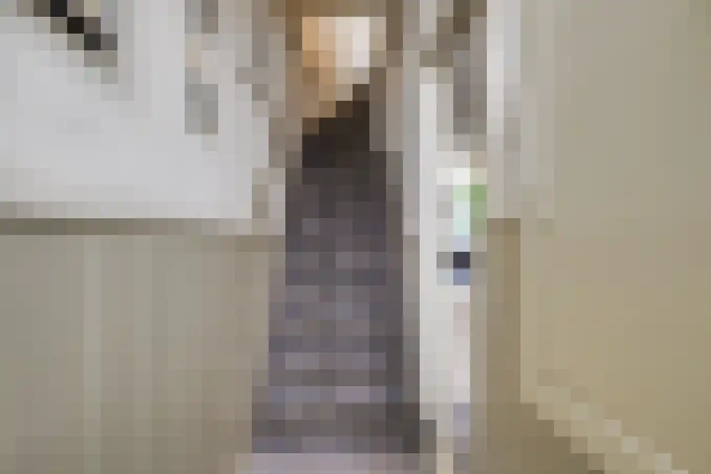 Julianastraat 51 Leiden thumbnail 6