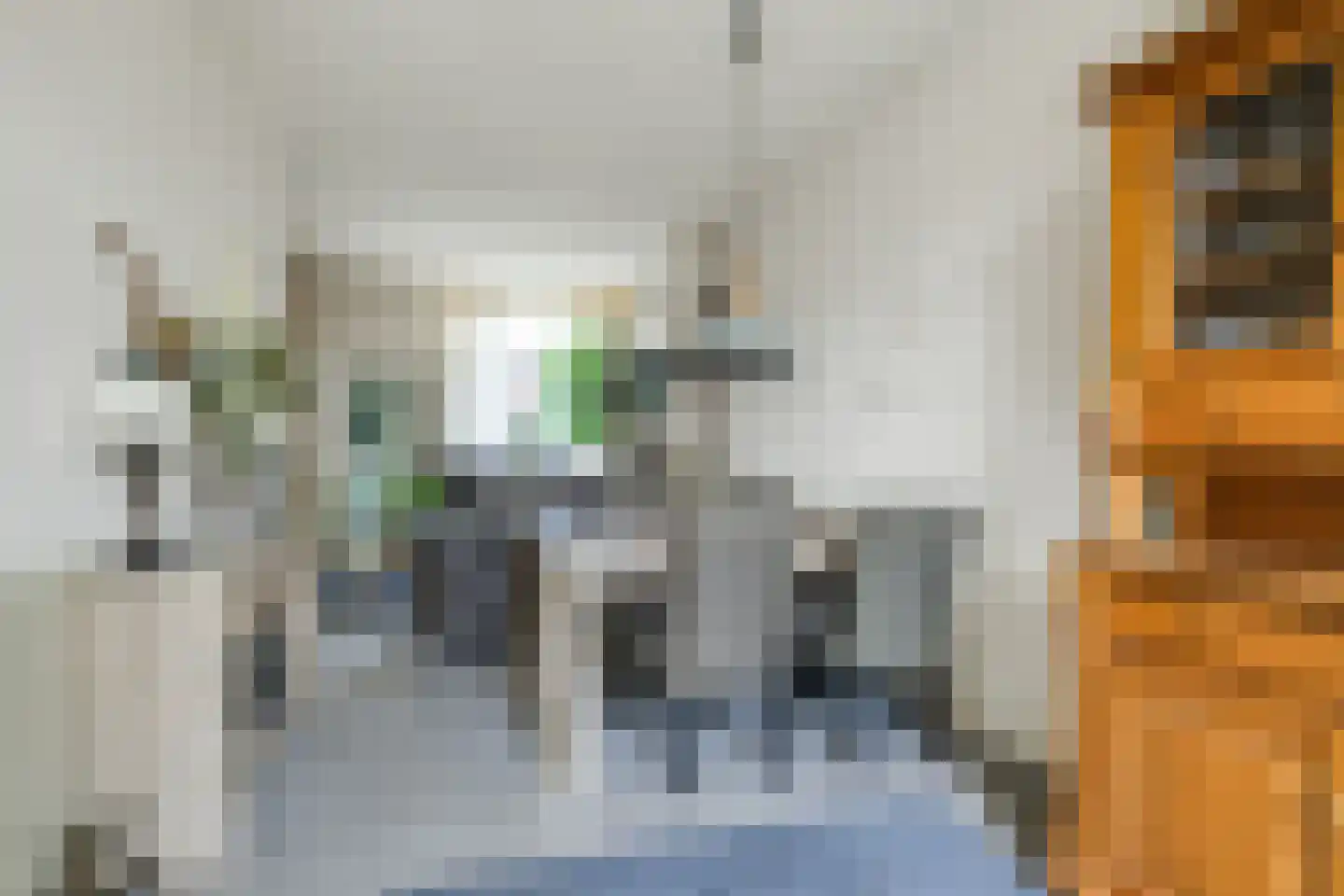 Julianastraat 51 Leiden thumbnail 7