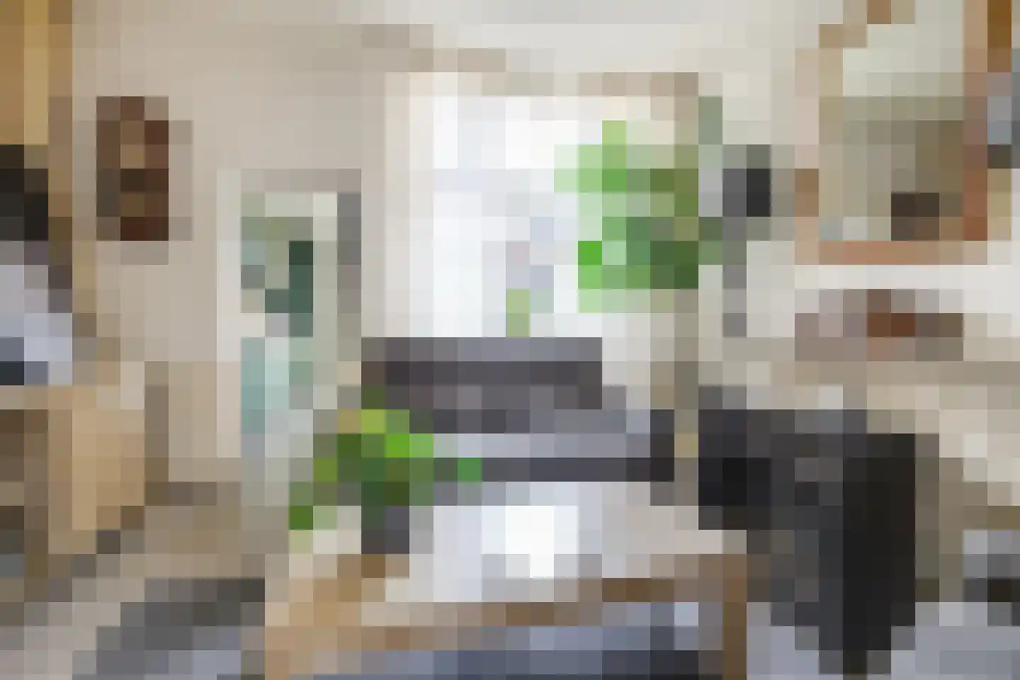 Julianastraat 51 Leiden thumbnail 8