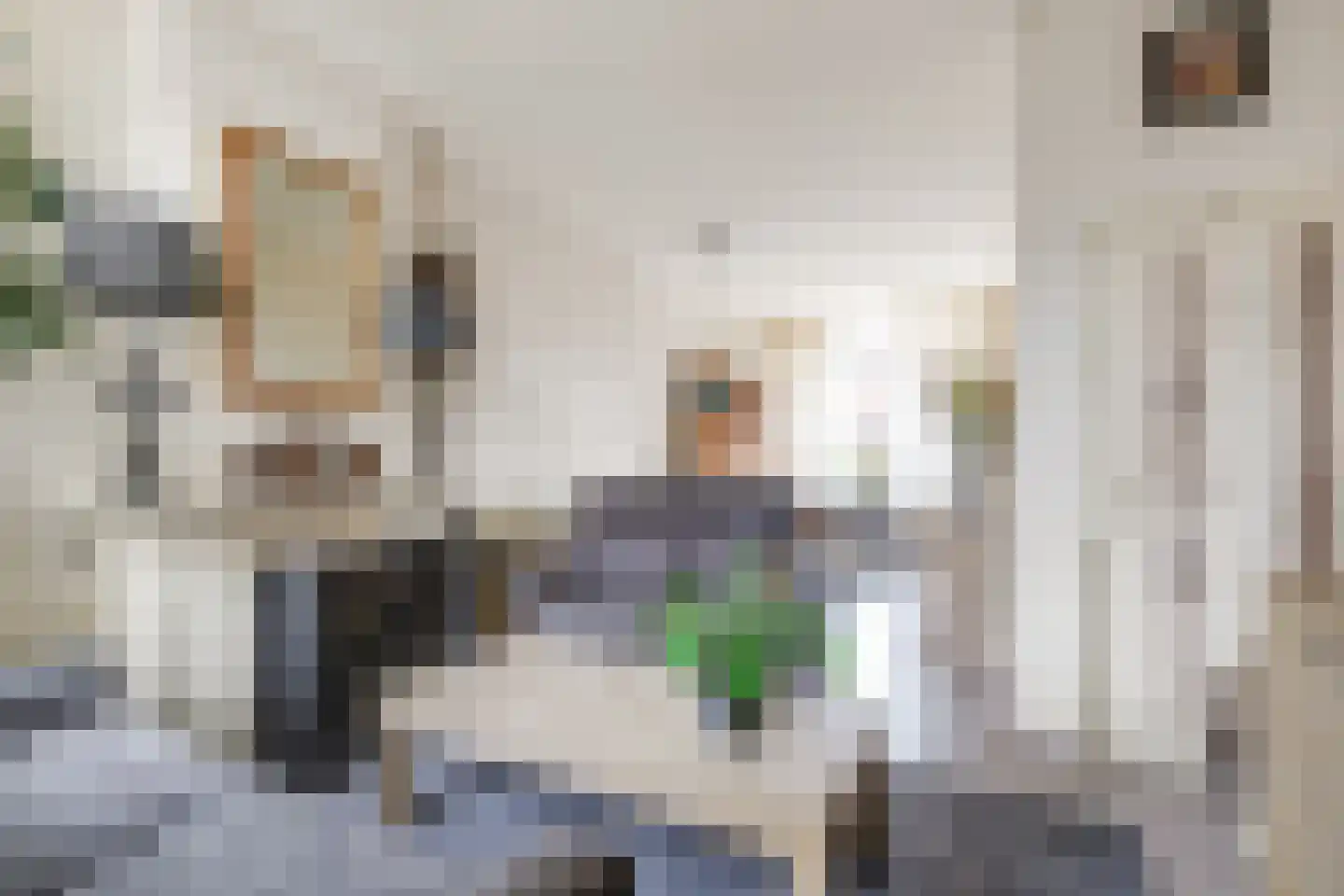 Julianastraat 51 Leiden thumbnail 9