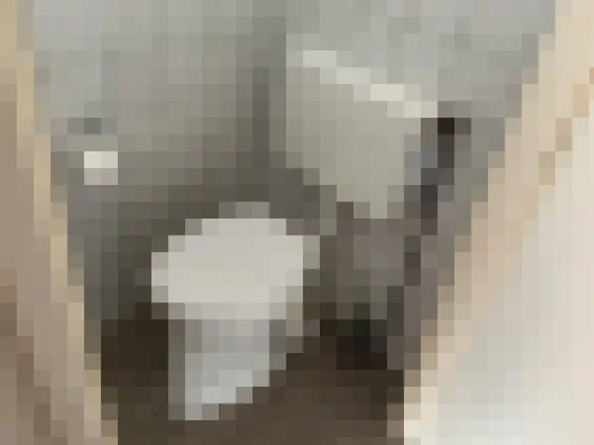 Julianastraat 51 Vroomshoop thumbnail 6