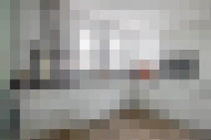 Julianastraat 54 A Lisse thumbnail 10