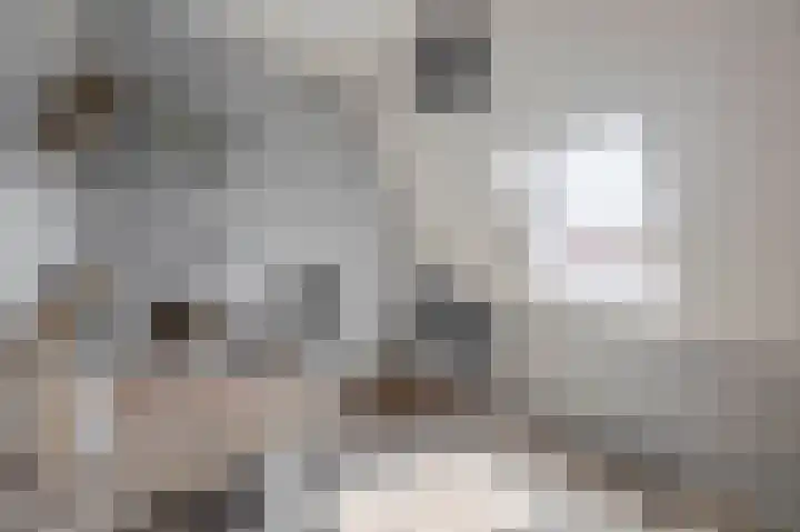 Julianastraat 54 A Lisse thumbnail 24