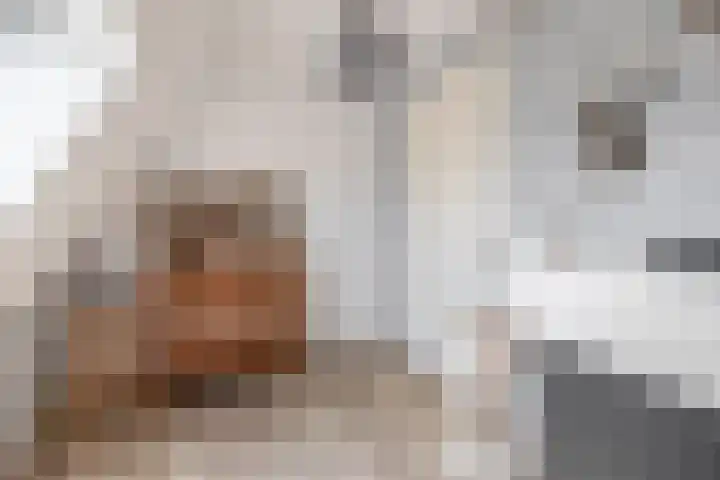 Julianastraat 54 A Lisse thumbnail 25