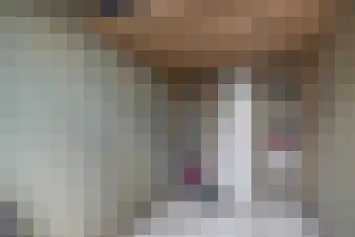 Julianastraat 54 A Lisse thumbnail 30