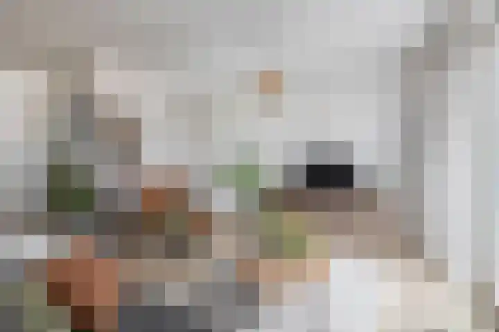 Julianastraat 54 A Lisse thumbnail 6