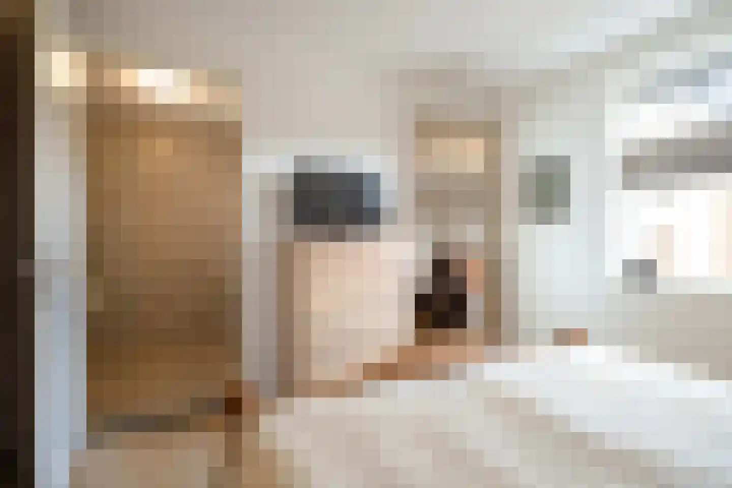 Julianastraat 54 Overdinkel thumbnail 16