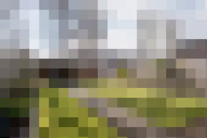 Julianastraat 54 Overdinkel thumbnail 24