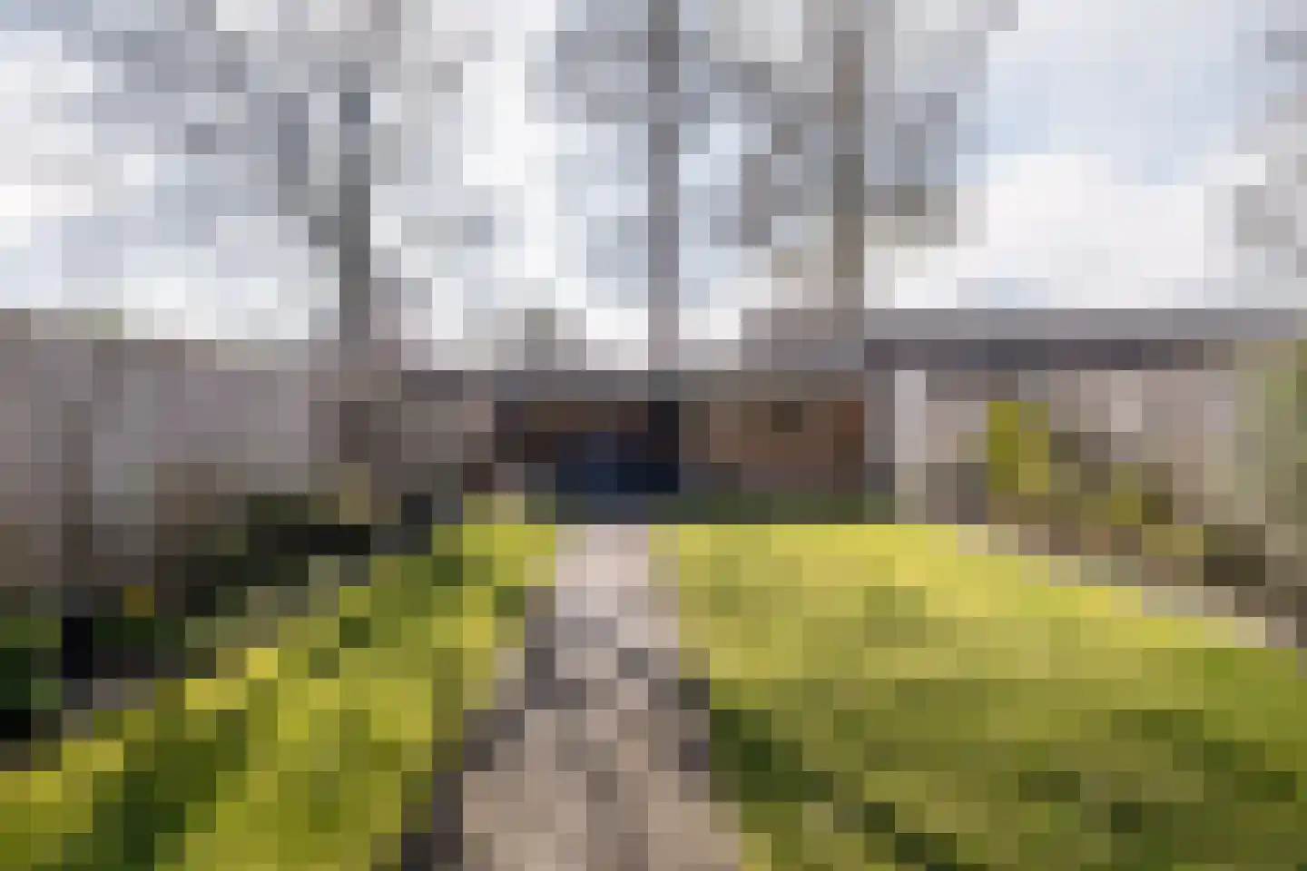 Julianastraat 54 Overdinkel thumbnail 25