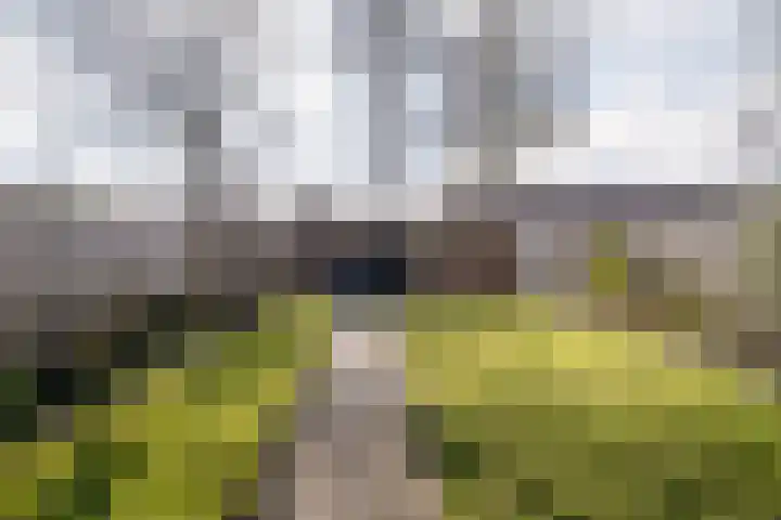 Julianastraat 54 Overdinkel thumbnail 25