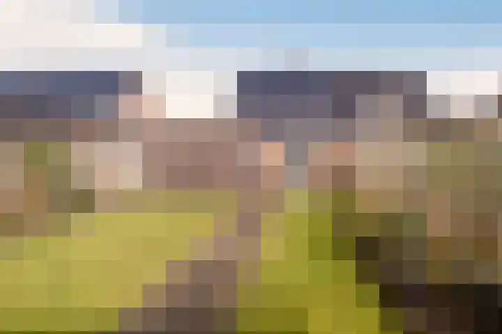 Julianastraat 54 Overdinkel thumbnail 27
