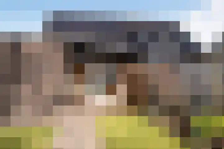 Julianastraat 54 Overdinkel thumbnail 29