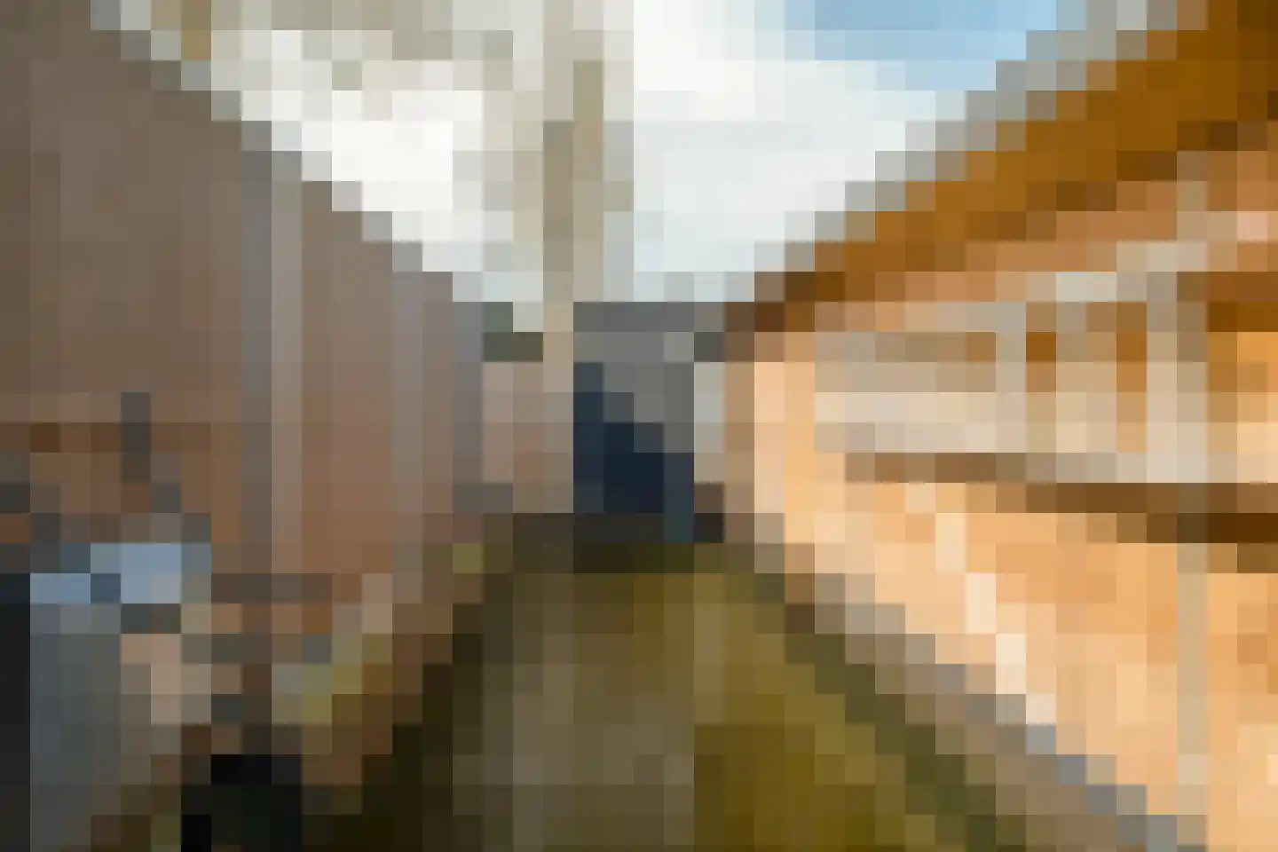 Julianastraat 54 Overdinkel thumbnail 30