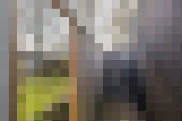 Julianastraat 54 Overdinkel thumbnail 31