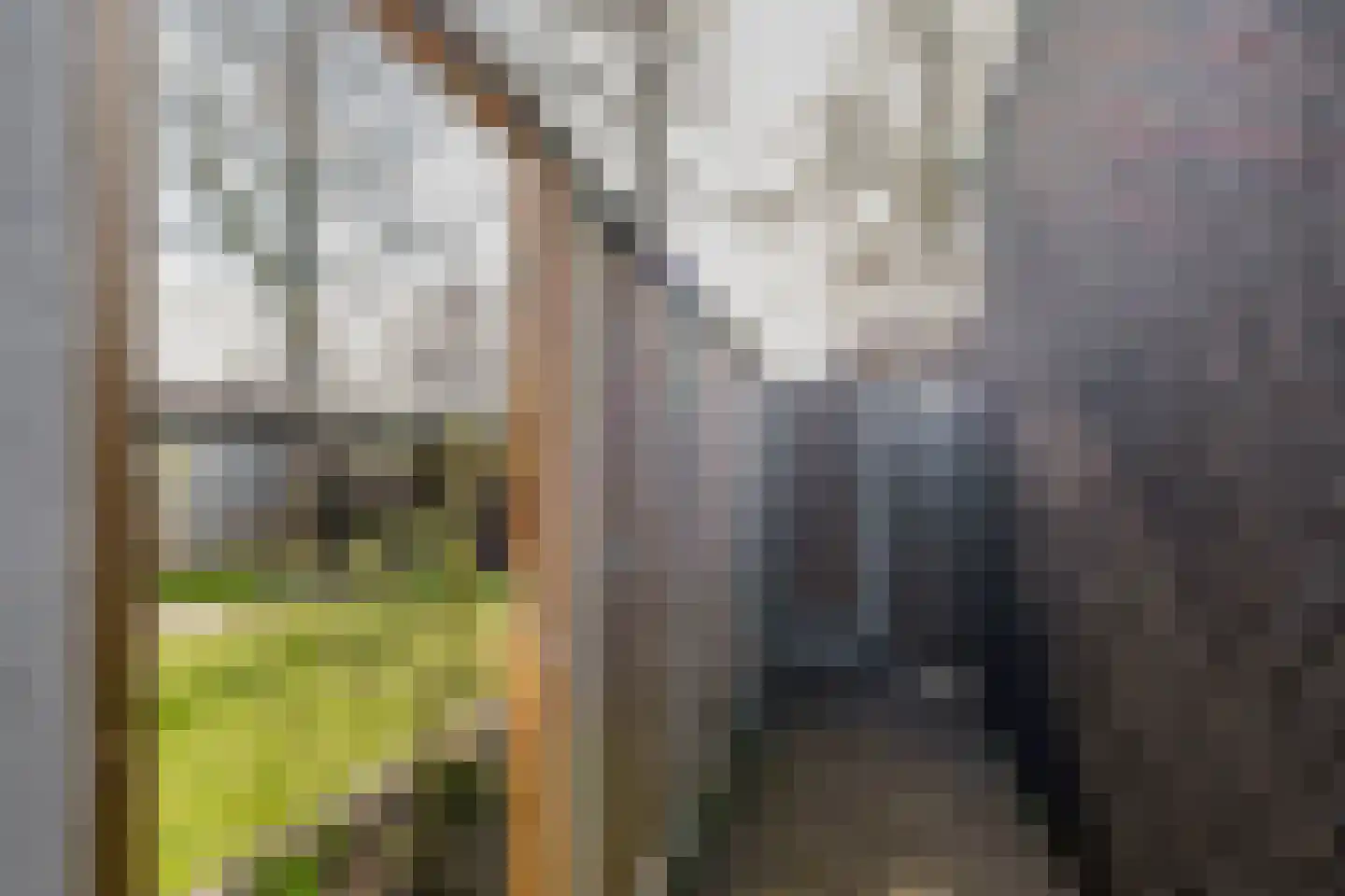 Julianastraat 54 Overdinkel thumbnail 31