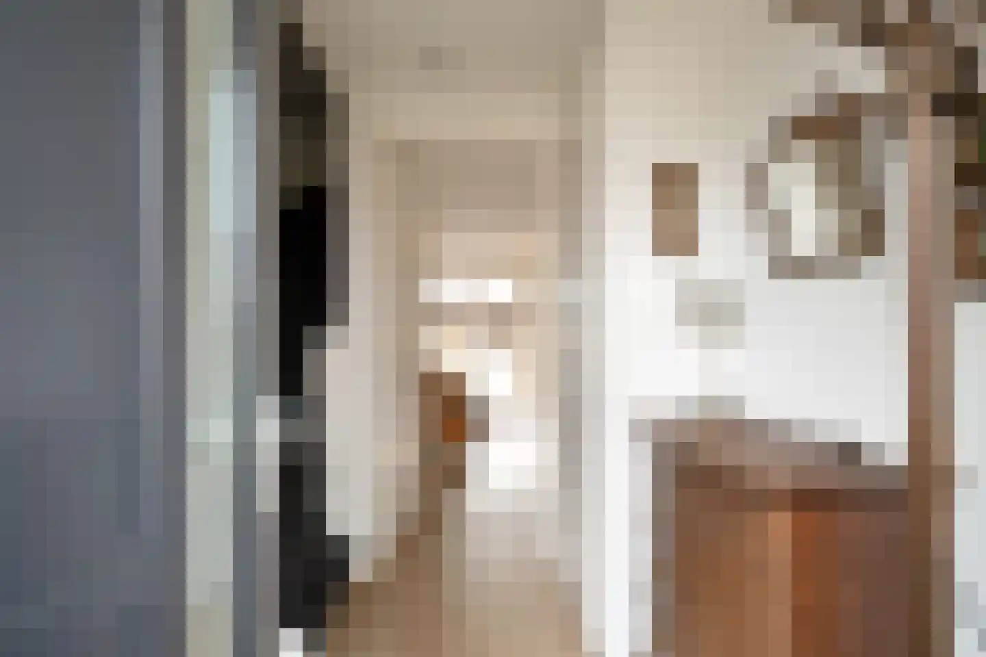 Julianastraat 54 Overdinkel thumbnail 6
