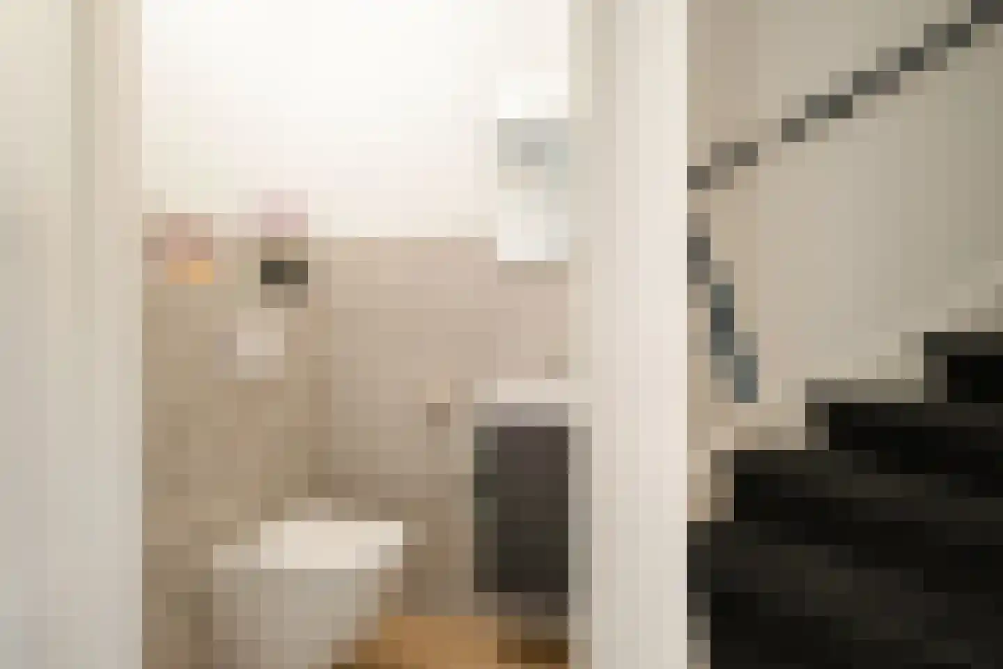 Julianastraat 54 Overdinkel thumbnail 7