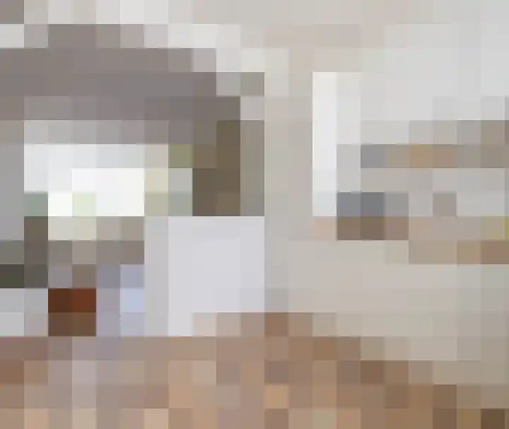 Julianastraat 55 Leiden thumbnail 10