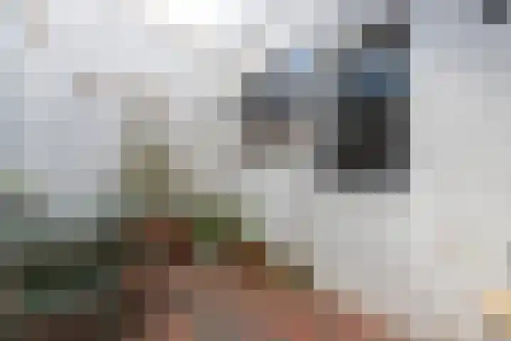 Julianastraat 55 Leiden thumbnail 12