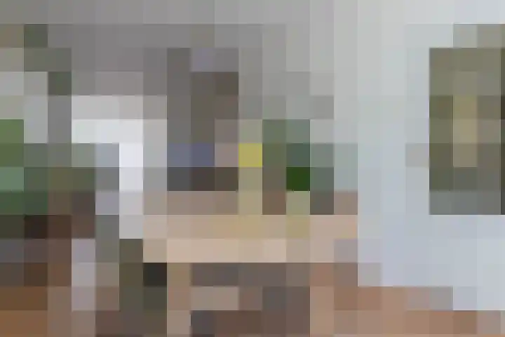 Julianastraat 55 Leiden thumbnail 4