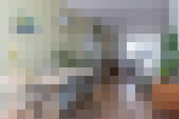 Julianastraat 55 Leiden thumbnail 5
