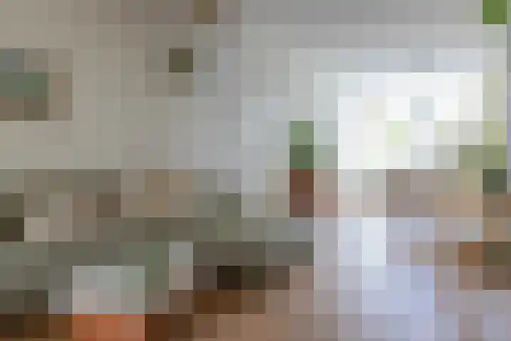 Julianastraat 55 Leiden thumbnail 6