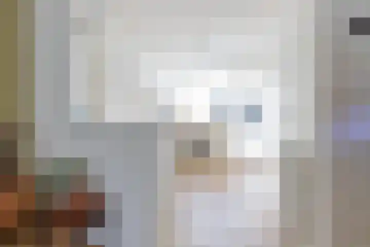 Julianastraat 55 Leiden thumbnail 8