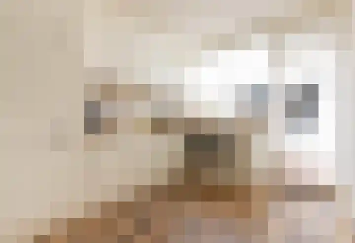 Julianastraat 55 Leiden thumbnail 9