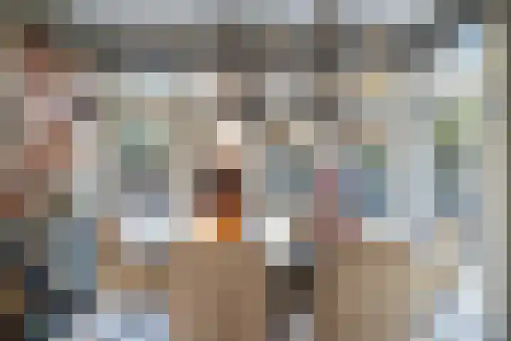 Julianastraat 55 Lisse thumbnail 22