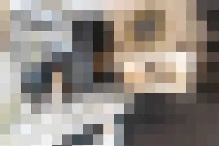 Julianastraat 55 Lisse thumbnail 34