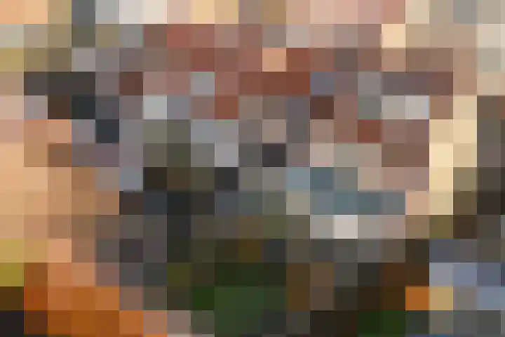 Julianastraat 55 Lisse thumbnail 44