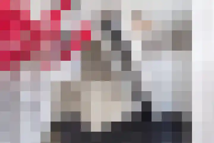Julianastraat 55 Lisse thumbnail 46