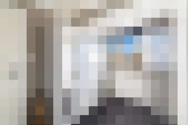 Julianastraat 55 Lisse thumbnail 51