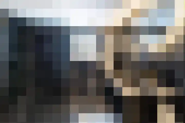 Julianastraat 55 Lisse thumbnail 53