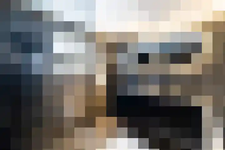 Julianastraat 55 Lisse thumbnail 54