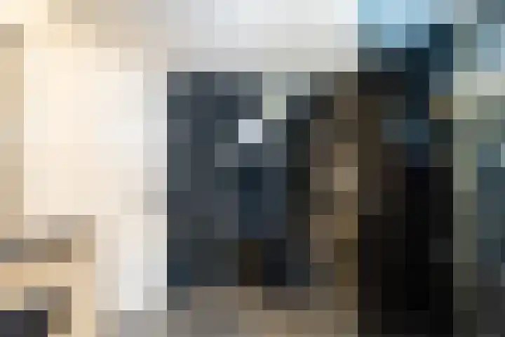 Julianastraat 55 Lisse thumbnail 55