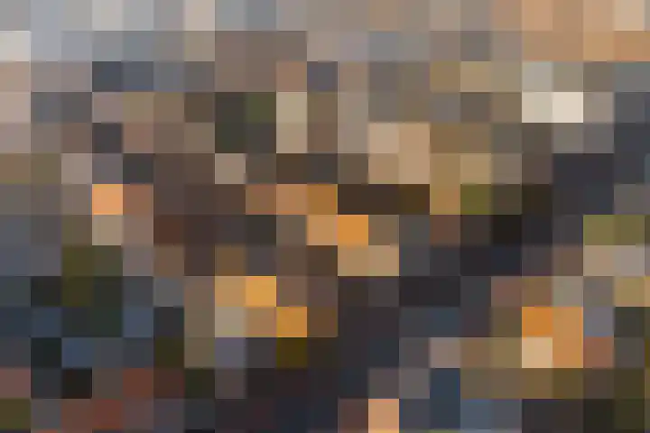 Julianastraat 55 Lisse thumbnail 62