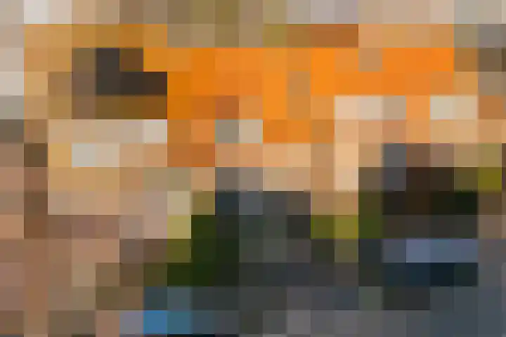 Julianastraat 55 Lisse thumbnail 65
