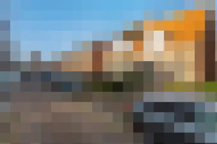 Julianastraat 55 Lisse thumbnail 67