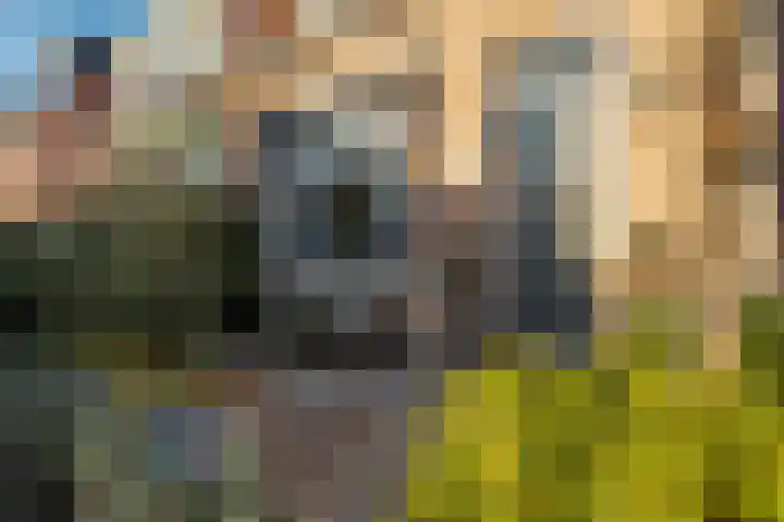 Julianastraat 55 Lisse thumbnail 7