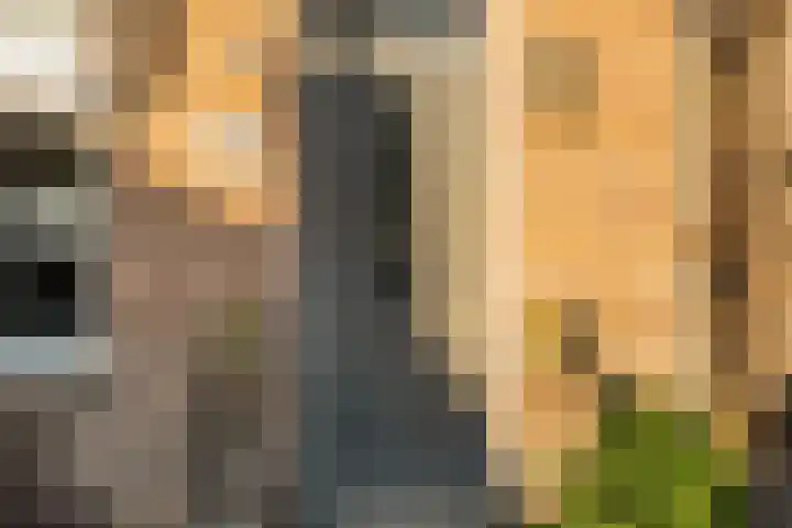 Julianastraat 55 Lisse thumbnail 8